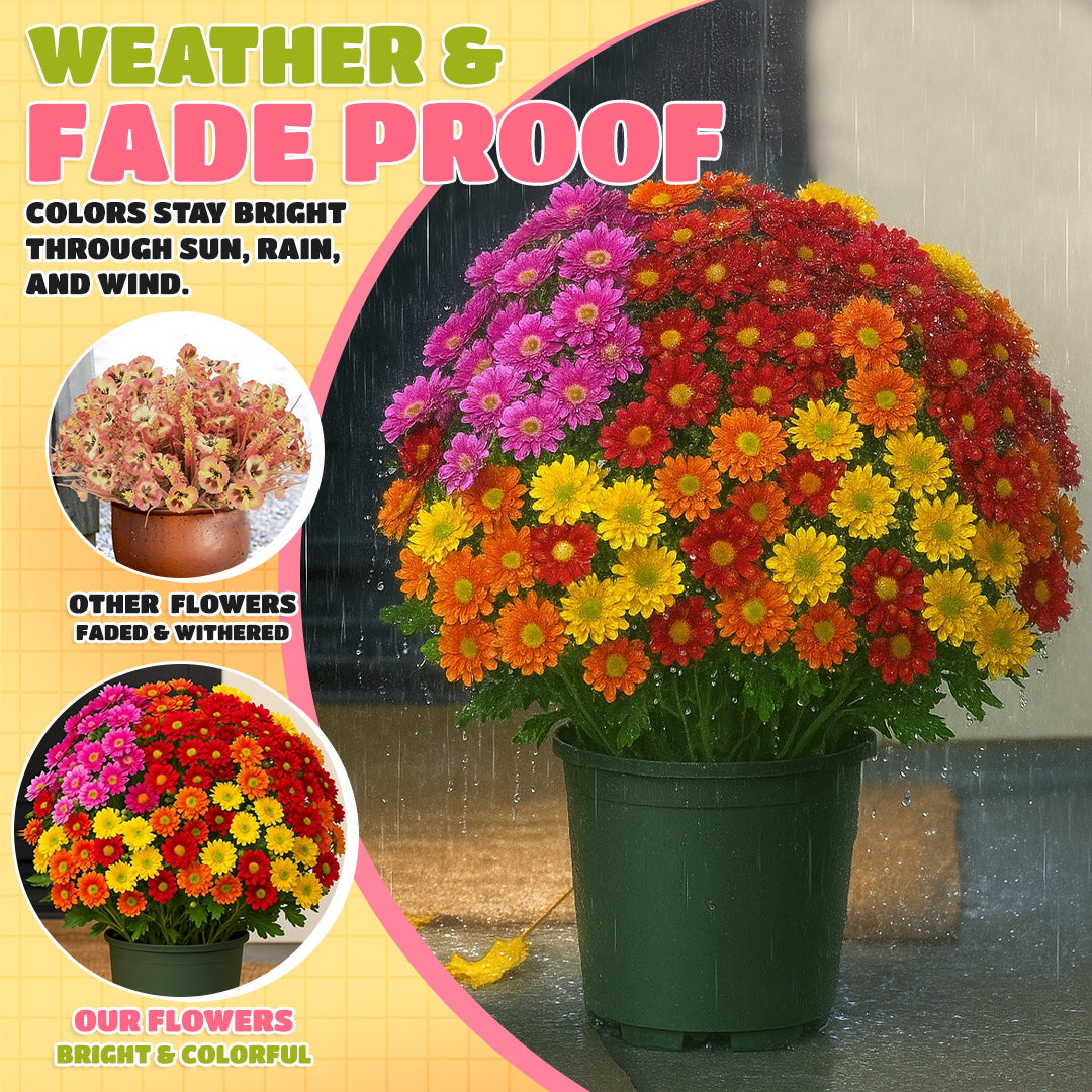 ๐ Flash Sale โก Artificial Outdoor Sunset Mums Flowers ๐ป- UV resistant, Waterproof, Windproof ๐ง