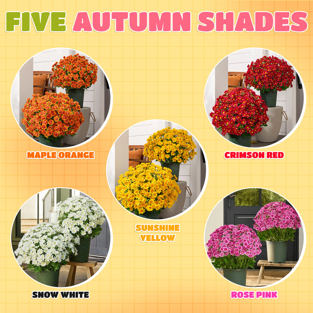 ๐ Flash Sale โก Artificial Outdoor Sunset Mums Flowers ๐ป- UV resistant, Waterproof, Windproof ๐ง