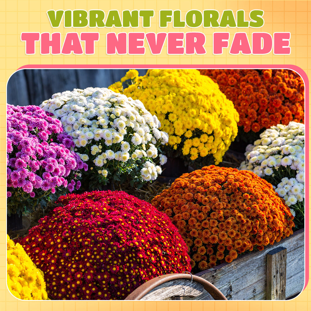 ๐ Flash Sale โก Artificial Outdoor Sunset Mums Flowers ๐ป- UV resistant, Waterproof, Windproof ๐ง