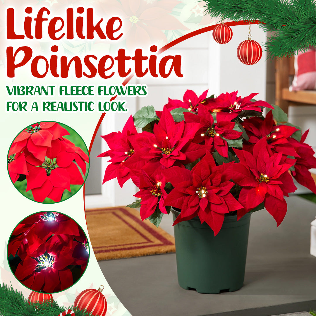 🌺Artificial Christmas Poinsettia Flower Solar Light🎄🎅 – Waterproof Outdoor Garden & Holiday Decoration