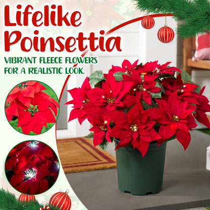 🌺Artificial Christmas Poinsettia Flower Solar Light🎄🎅 – Waterproof Outdoor Garden & Holiday Decoration